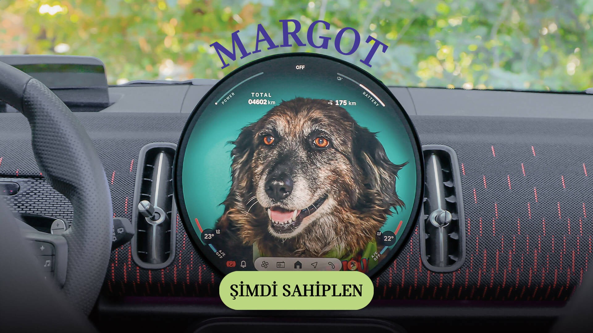 MINI Pati | MINI Türkiye